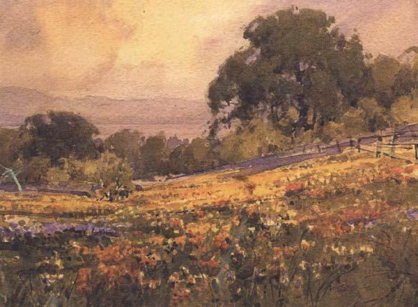 unknow artist California landscape